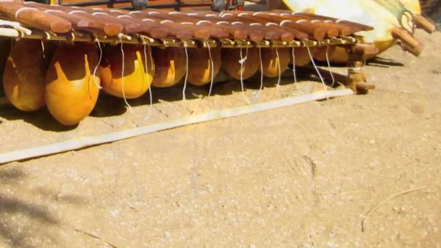 BEST AFRICAN MUSIC AMBIENT LOUNGE смотреть онлайн