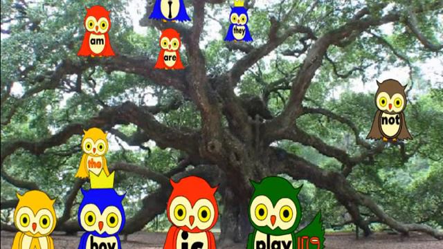 owls and present continuous смотреть онлайн