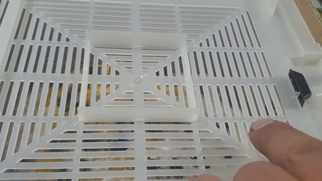 Как выглядит улий шмелей от израельской компании BioBee