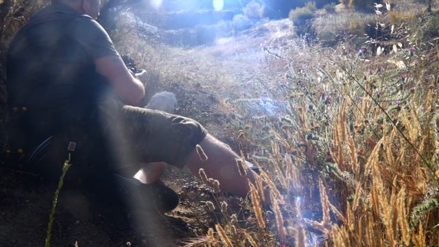 Dog Photography- Top Ten Tips to take better pet photographs. смотреть онлайн