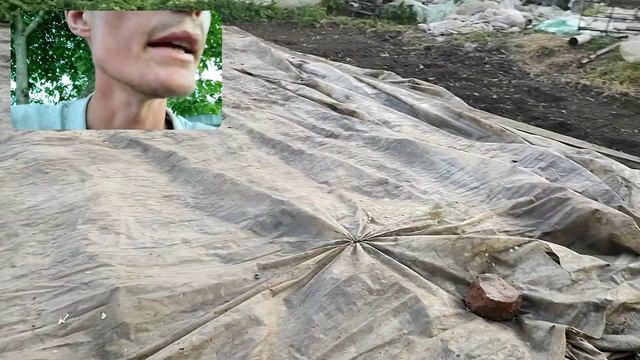 Посіяв капусту . Як отримати ідеальні сходи смотреть онлайн