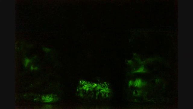 Bioluminescenza nel micelio di Panellus stipticus смотреть онлайн