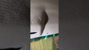 Убрать заломы на обшивке потолка. Наипростейший, дешевый способ!