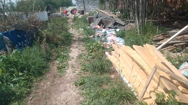 15.07.22. утреннееутро. подготовка к тетрису. смотреть онлайн