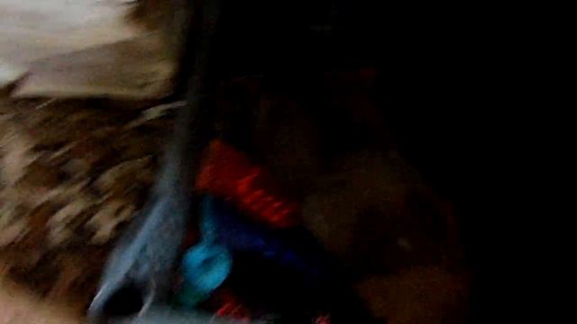 Жительнице Омутнинска подбросили четырех щенков смотреть онлайн