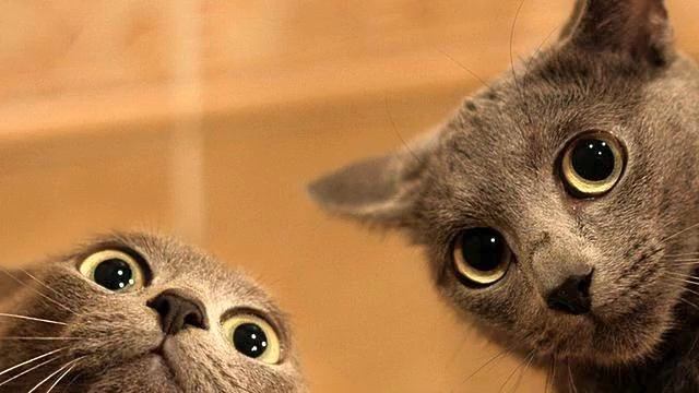 Музыка самого высокого качества. Просто супер! Море... смотреть онлайн