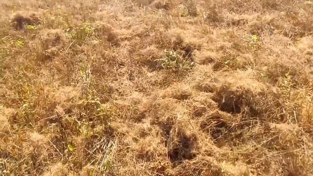 Убираем Лен 12.09.19 смотреть онлайн