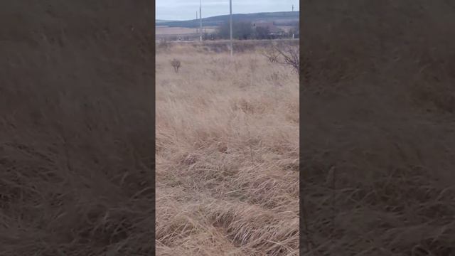 24 ноября 2023 г. (14).mp4 смотреть онлайн