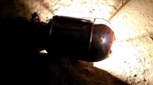 Замена колодок на Ситроен С4