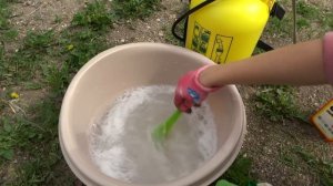 ДЕРЕВЕНСКИЙ способ  Борьбы с ТЛЕЙ! Как использовать мыло от тли?