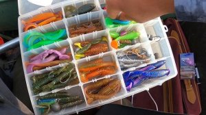 СПИННЕРБЕЙТ. САМ УДИВЛЁН, ЧТО ЛОВИТ.