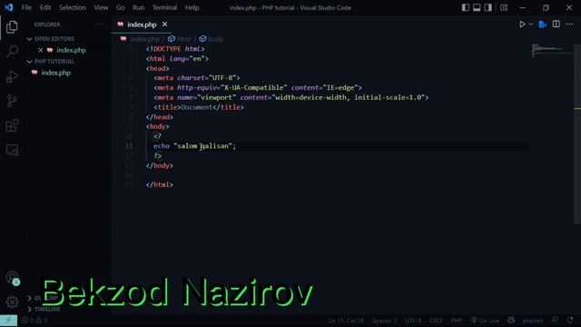 PHP darslari 1-dars echo print php sintaksisi смотреть онлайн