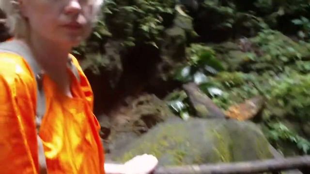 Водопад на острове Доминика смотреть онлайн