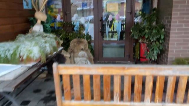 Аня за кермом, їдемо в Луцьк || Луцький зоопарк || Закупка, що купили @САВАРЮТИКИ смотреть онлайн