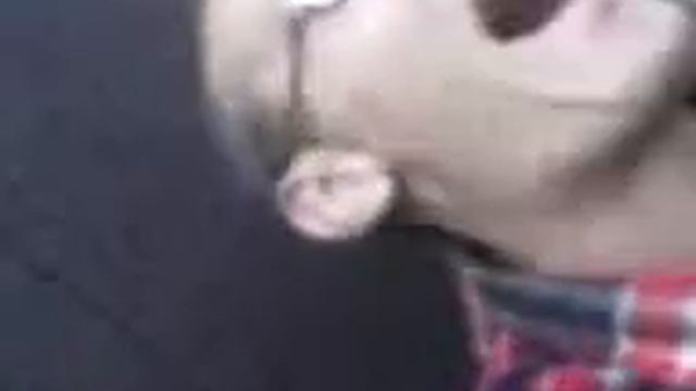 Медведь лапу сосал в берлоге смотреть онлайн