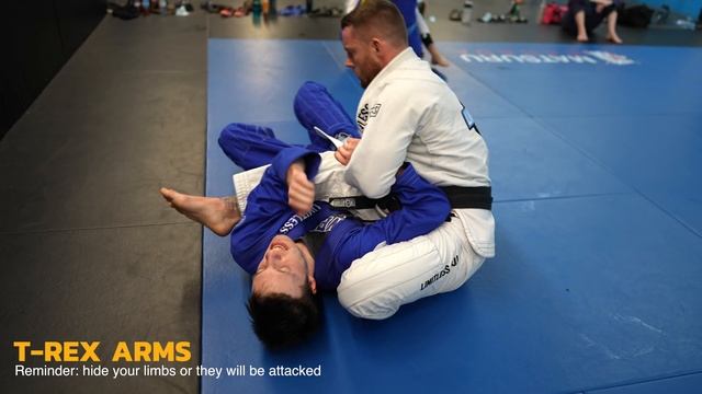 Learn From White Belt Mistakes | BJJ Rolling Commentary смотреть онлайн