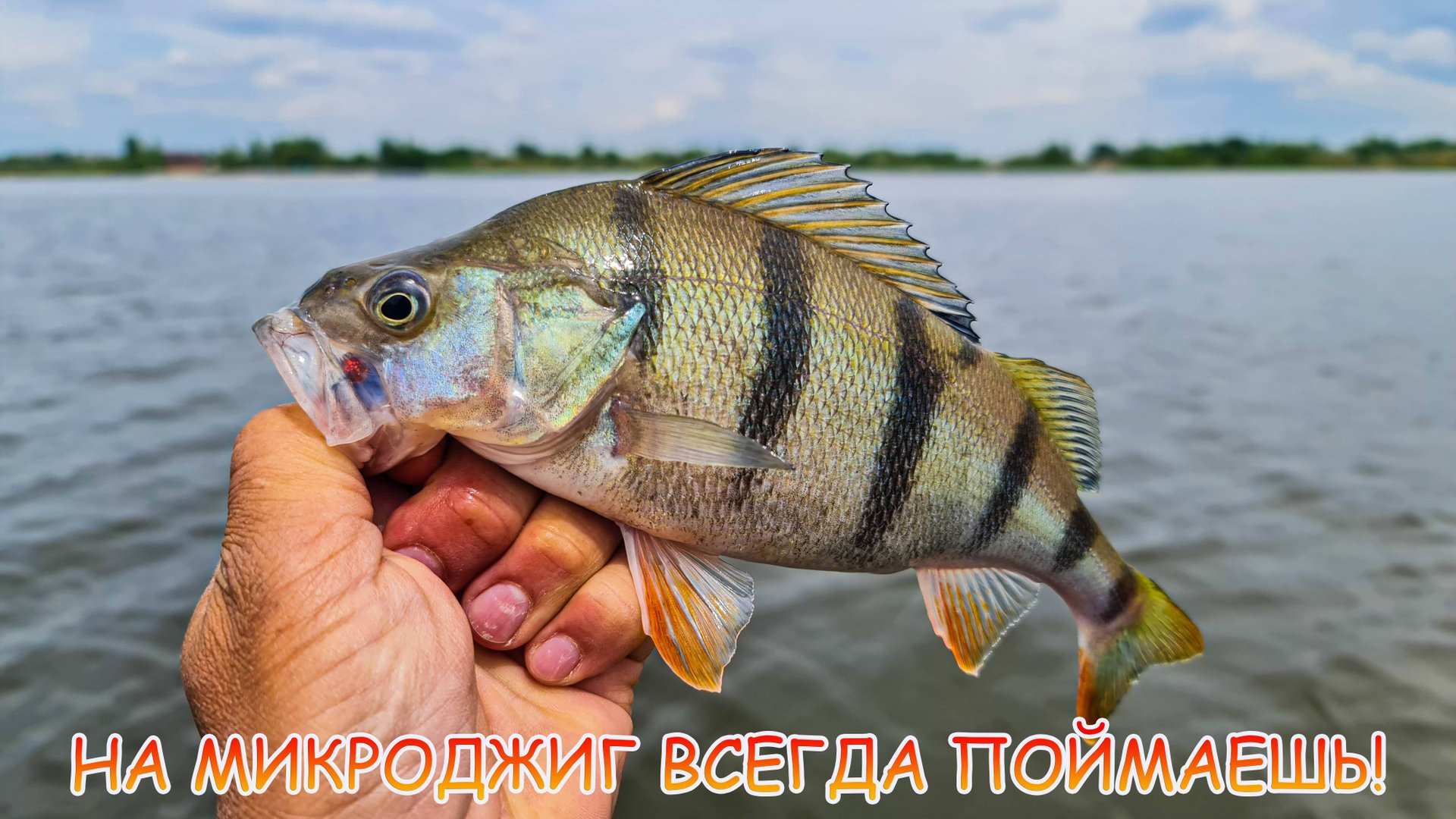 На микроджиг всегда поймаешь! Окунь уже хорошо ловится! смотреть онлайн