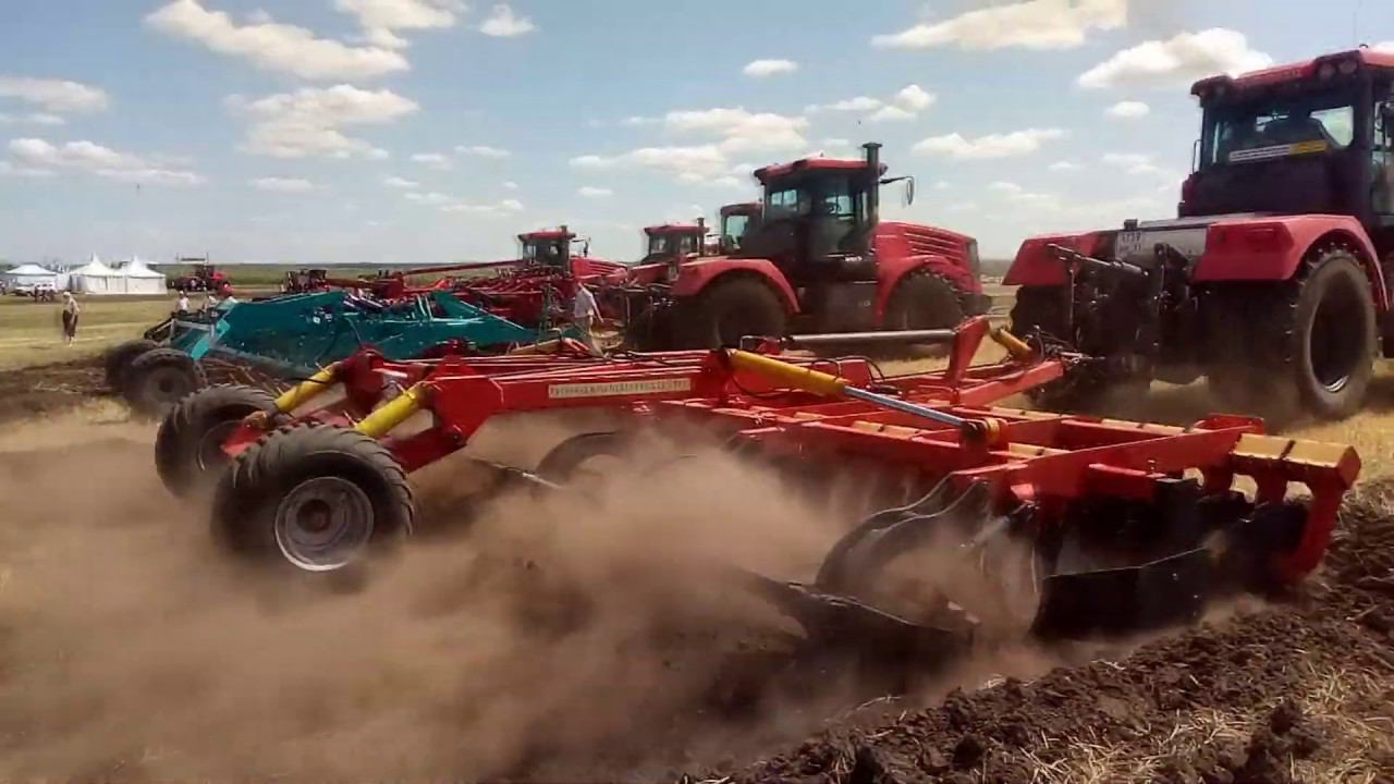 Работа бороны дисковой БДМ КОРТЕС 7 производства БДТ-АГРО на стойках с эластомерами с трактором К744 смотреть онлайн