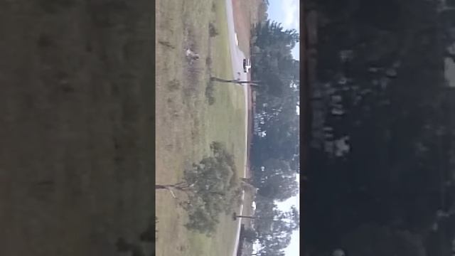 Family Box Drift Crew AE86 Levin Tearing Up The SDMA Hillclimb, Rd 1 Video #2