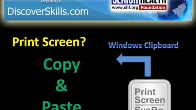 Using Print Screen Button - DiscoverSkills.com - Windshield WebCast - смотреть онлайн