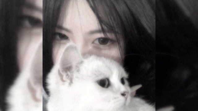 Pharaoh - Белые нити speed up смотреть онлайн