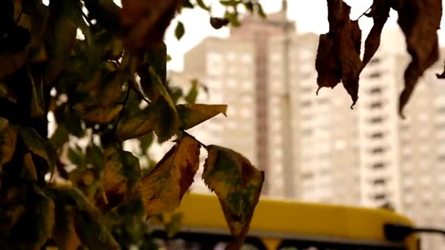 Samsung NX100 Sample Video 2 (shallow DOF)