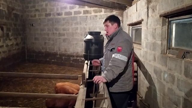 Анонс Стрима Завтра На 20 :00По Москве Заходите Ждём смотреть онлайн