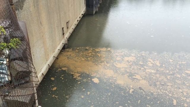 Introduction to Combined Sewer Overflow смотреть онлайн