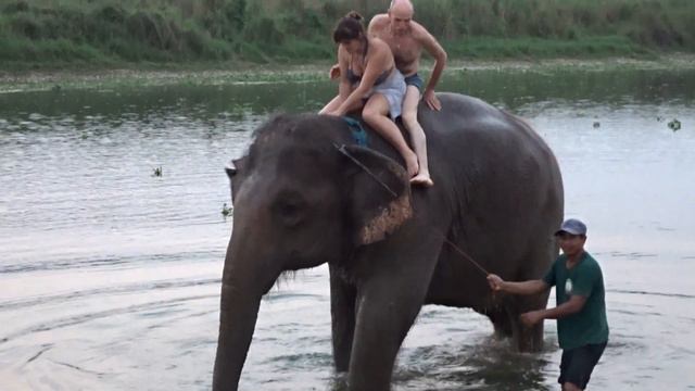 НЕПАЛ. Национальный парк ЧИТВАН смотреть онлайн