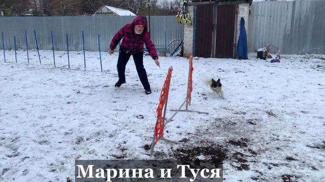 Зимнее аджилити. Winter agility. смотреть онлайн