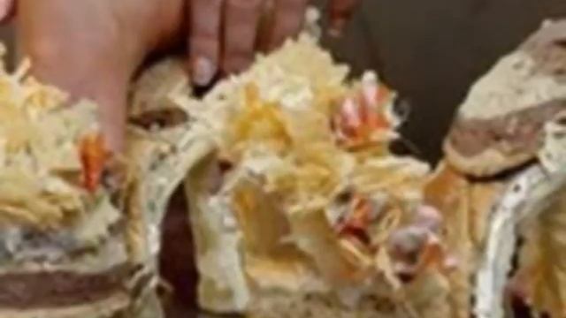 Туфли из сыра смотреть онлайн