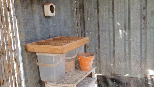 КАК ВСЕ ИЗМЕНИЛОСЬ.Зачем нам ещё одна кухня?@estebancerezo7888 смотреть онлайн