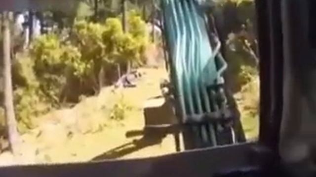 Приколы_с_животными_Кошки_Лошади_Собаки_Баран Fun_with смотреть онлайн