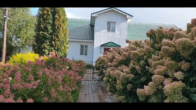 Ворсма Островоезерский Троицкий монастырь Всё бы хорошо, но... смотреть онлайн