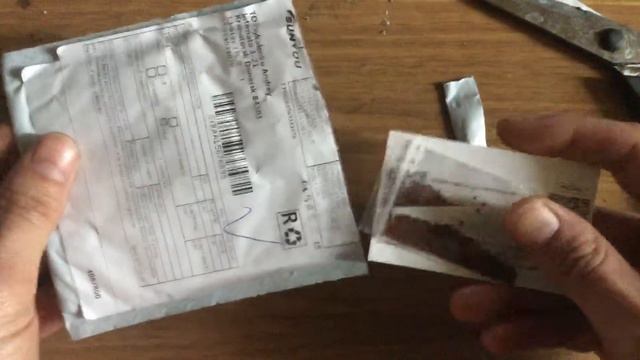 Аквариумные растения смотреть онлайн