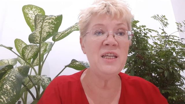 Real cost of legal services in Vietnam (work permit and TRC) смотреть онлайн