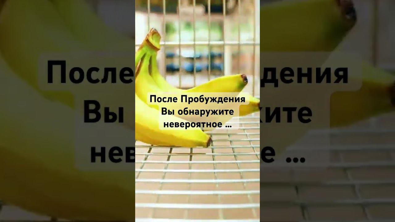 После Пробуждения Вы обнаружите невероятное … #пробуждение #просветление смотреть онлайн