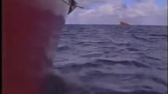 Les Enfants De La Baleine Blanche