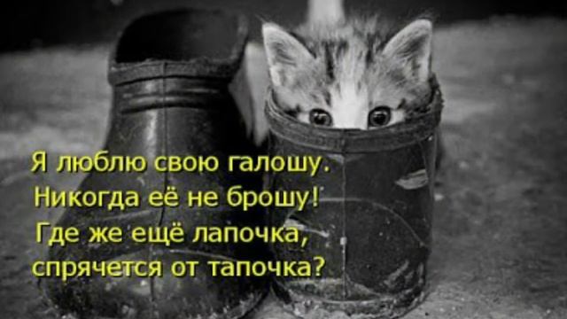 ОРИГИНАЛЬНОЕ ПОЗДРАВЛЕНИЕ С ДНЕМ РЕЗИНОВЫХ ГАЛОШ смотреть онлайн