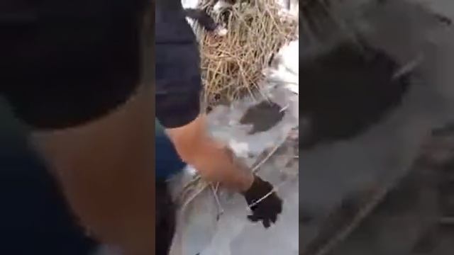 Самая лучшая рыбалка 2017 Вот так надо ловить рыбу смотреть онлайн