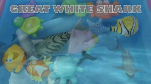 Learn Sea Animal Names and Facts | Sea Animals for Kids | Sea Creatures for Kids | Sea Animal Toys