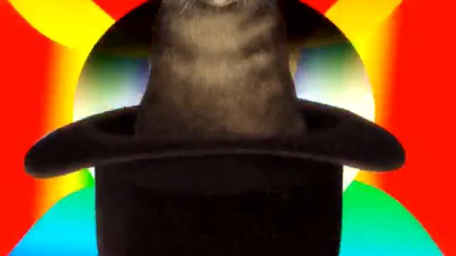 котики из ШЛЯПЫ придут за тобой! vk.com/snovashlyapa смотреть онлайн