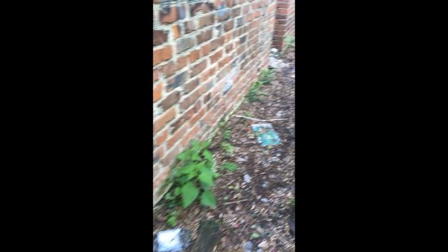 " Мусорные Достопримечательности 2" г Дмитровск Орловская обл смотреть онлайн