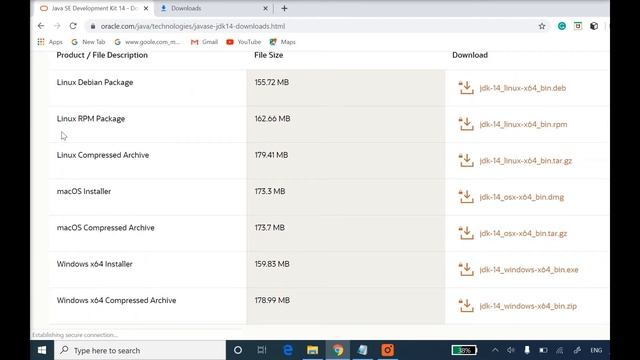 JDK & NetBeans Installation | SANA LECTURES смотреть онлайн