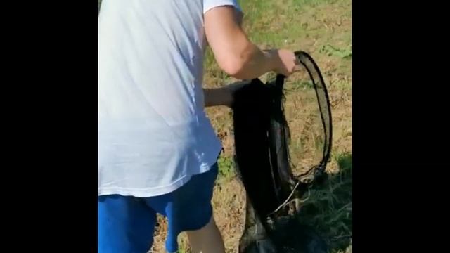 Рыбалка друзей во Франции.Правила ловли в Европе 2021.#щука #рыбалкавевропе #отдых смотреть онлайн