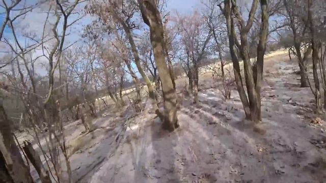 Охота на зайца с русскими гончими 12. смотреть онлайн