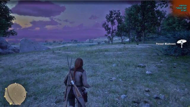 Red Dead ONLINE 7 Parasol Mushrooms at One Spot смотреть онлайн