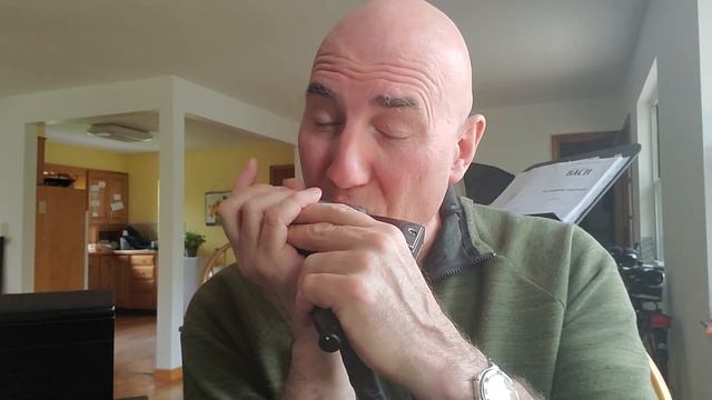 Suzuki Sirius BASS S-48B customizations chromatic harmonica Kettlewell смотреть онлайн
