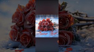 зимние розы. ))) ☺️☺☺☺