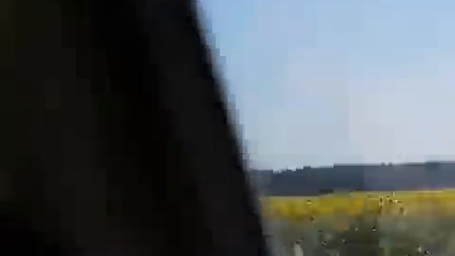 Щедрая природа. Море подсолнухов смотреть онлайн